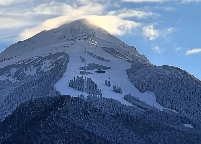 Domek alpejski Garibaldi - Total Bansko