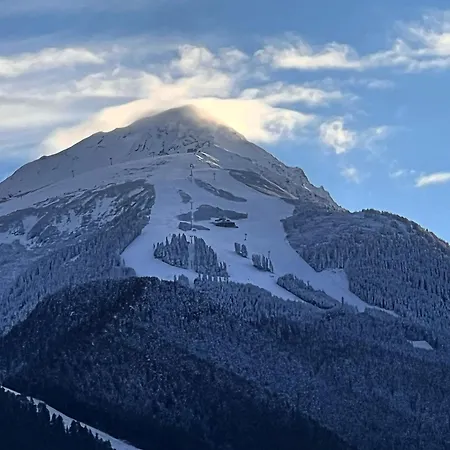 Шале Garibaldi - Total Банско
